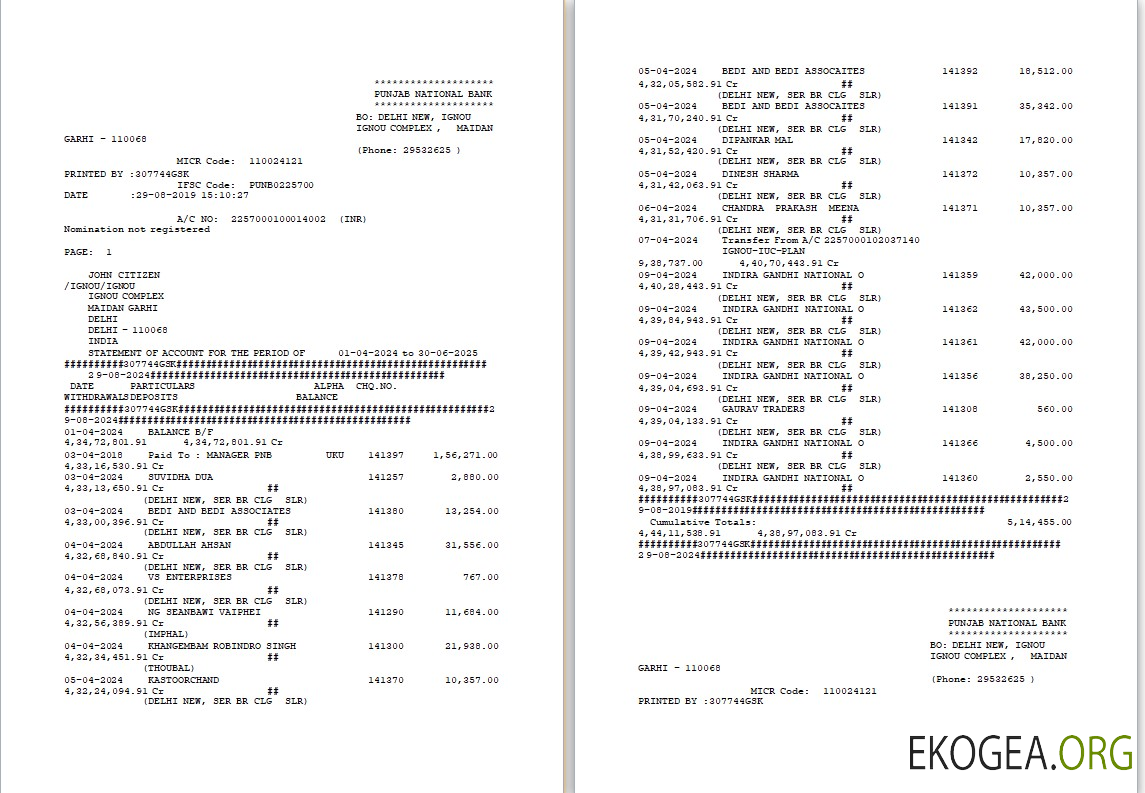 Modèle Word et PDF de relevé bancaire PNB des Émirats arabes unis Dubaï, 2 pages